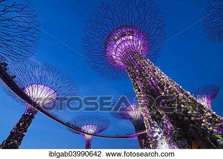 "Supertrees, Gardens by the Bay, at night, Singapore, Asia" View Large Photo Image Stock Image - "Supertrees, Gardens by the Bay, at night, Singapore, Asia". Fotosearch