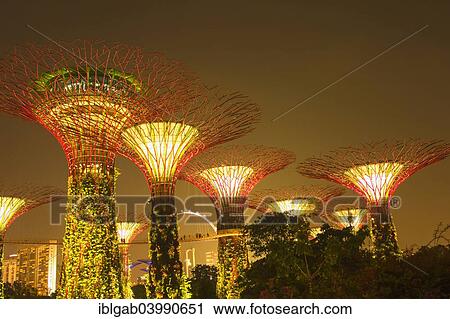 "Supertrees, Gardens by the Bay, at night, Singapore, Asia" View Large Photo Image Stock Image - "Supertrees, Gardens by the Bay, at night, Singapore, Asia". Fotosearch