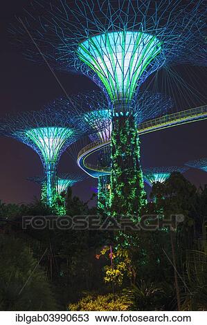 "Supertrees, Gardens by the Bay, at night, Singapore, Asia" View Large Photo Image Stock Image - "Supertrees, Gardens by the Bay, at night, Singapore, Asia". Fotosearch