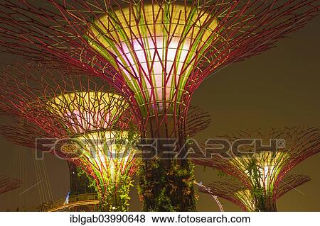 "Supertrees, Gardens by the Bay, at night, Singapore, Asia" View Large Photo Image Stock Photo - "Supertrees, Gardens by the Bay, at night, Singapore, Asia". Fotosearch