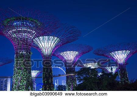 "Supertrees, Gardens by the Bay at night, Singapore, Asia" View Large Photo Image Stock Photo - "Supertrees, Gardens by the Bay at night, Singapore, Asia". Fotosearch
