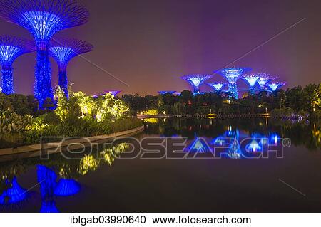 "Supertrees, Gardens by the Bay reflecting in the water at night, Singapore, Asia" View Large Photo Image Stock Image - "Supertrees, Gardens by the Bay reflecting in the water at night, Singapore, Asia". Fotosearch