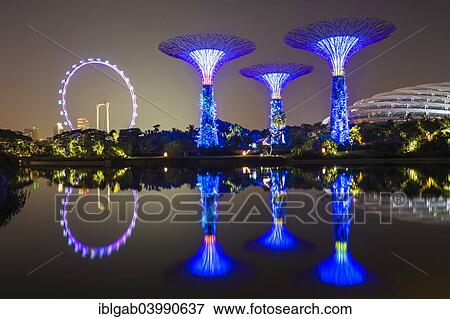 Stock Photo - "Supertrees, Gardens by the Bay reflecting in the water at night, Singapore, Asia". Fotosearch