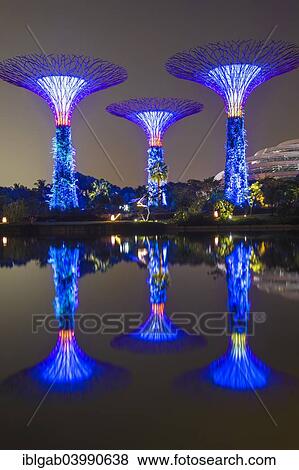 "Supertrees, Gardens by the Bay reflecting in the water at night, Singapore, Asia" View Large Photo Image Stock Photo - "Supertrees, Gardens by the Bay reflecting in the water at night, Singapore, Asia". Fotosearch
