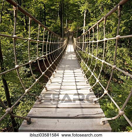 "Suspension bridge along the Waldskulpturenweg forest sculpture trail in Wittgenstein-Sauerland, Kuhhude, Bad Berleburg, North Rhine-Westphalia, Germany, Europe" View Large Photo Image Picture - "Suspension bridge along the Waldskulpturenweg forest sculpture trail in Wittgenstein-Sauerland, Kuhhude, Bad Berleburg, North Rhine-Westphalia, Germany, Europe". Fotosearch