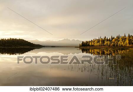 Stock Photograph - "Swan Lake, Alaska". Fotosearch
