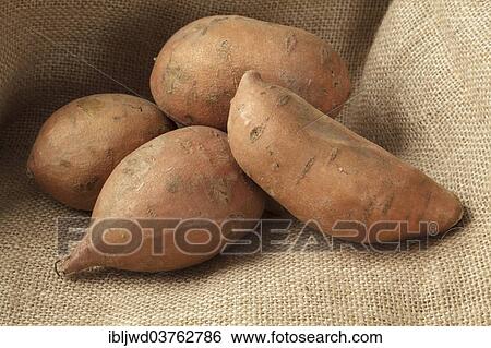 Sweet potatoes View Large Photo Image Stock Photograph - Sweet potatoes. Fotosearch