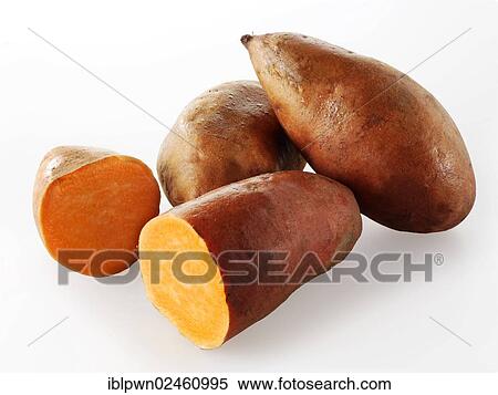 Sweet potatoes View Large Photo Image Stock Photography - Sweet potatoes. Fotosearch