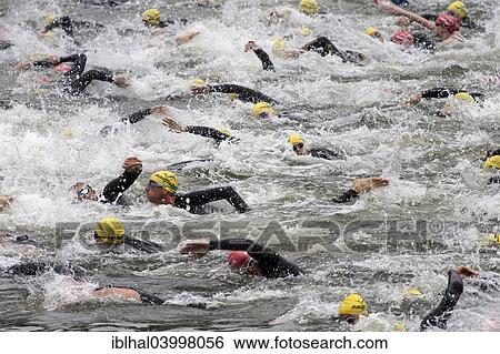 "Swimmers in the Neckar, swimming competition at the Heidelberg Triathlon, Heidelberg, Baden-Wurttemberg, Germany, Europe" View Large Photo Image Stock Photograph - "Swimmers in the Neckar, swimming competition at the Heidelberg Triathlon, Heidelberg, Baden-Wurttemberg, Germany, Europe". Fotosearch