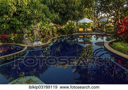 "Swimming pool, Hotel Sawah Lovina Bungalows, Lovina Beach, Bali, Indonesia, Asia" View Large Photo Image Stock Photo - "Swimming pool, Hotel Sawah Lovina Bungalows, Lovina Beach, Bali, Indonesia, Asia". Fotosearch