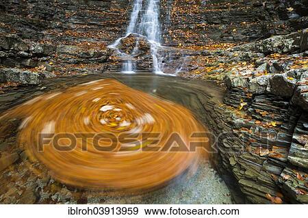 "Swirling leaves in a Taugl river inlet, Hallein District, Salzburg, Austria, Europe" View Large Photo Image Stock Photo - "Swirling leaves in a Taugl river inlet, Hallein District, Salzburg, Austria, Europe". Fotosearch