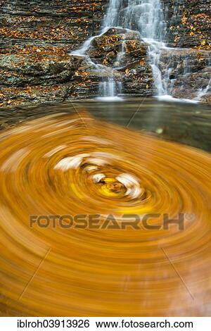 "Swirling leaves in a Taugl river inlet, Hallein District, Salzburg, Austria, Europe" View Large Photo Image Stock Photograph - "Swirling leaves in a Taugl river inlet, Hallein District, Salzburg, Austria, Europe". Fotosearch
