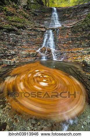 "Swirling leaves in a Taugl river inlet, Hallein District, Salzburg, Austria, Europe" View Large Photo Image Stock Photograph - "Swirling leaves in a Taugl river inlet, Hallein District, Salzburg, Austria, Europe". Fotosearch