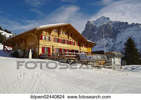 Picture - "Swiss chalet on the alpine slopes in winter, near Bort, Grindelwald, Swiss Alps, Switzerland, Europe". Fotosearch