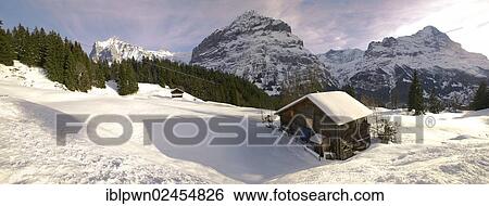 "Swiss chalet on the alpine slopes under winter snow near Bort, Grindelwald, Swiss Alps, Switzerland, Europe" View Large Photo Image Stock Photograph - "Swiss chalet on the alpine slopes under winter snow near Bort, Grindelwald, Swiss Alps, Switzerland, Europe". Fotosearch