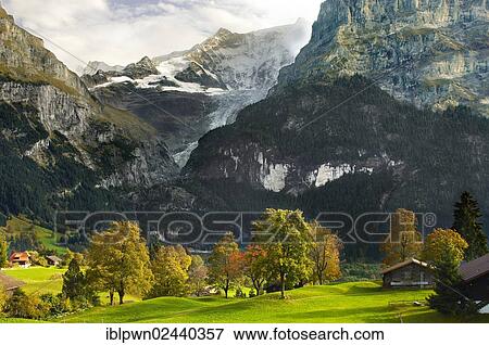 "Swiss houses on high Alpine pastures, Grindelwald, Switzerland, Europe" View Large Photo Image Stock Photo - "Swiss houses on high Alpine pastures, Grindelwald, Switzerland, Europe". Fotosearch