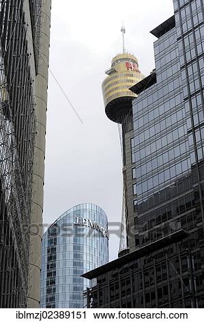 "Sydney Tower, AMP television tower, Central Business District, CBD, Sydney City, Sydney, New South Wales, NSW, Australia, Oceania" View Large Photo Image Stock Image - "Sydney Tower, AMP television tower, Central Business District, CBD, Sydney City, Sydney, New South Wales, NSW, Australia, Oceania". Fotosearch