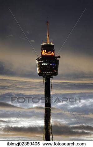 "Sydney Tower, AMP television tower with Westfield neon sign, Central Business District, CBD, Sydney City, Sydney, New South Wales, NSW, Australia, Oceania" View Large Photo Image Stock Photography - "Sydney Tower, AMP television tower with Westfield neon sign, Central Business District, CBD, Sydney City, Sydney, New South Wales, NSW, Australia, Oceania". Fotosearch