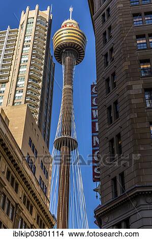 "Sydney Tower, Sydney, New South Wales, Australia, Oceania" View Large Photo Image Picture - "Sydney Tower, Sydney, New South Wales, Australia, Oceania". Fotosearch