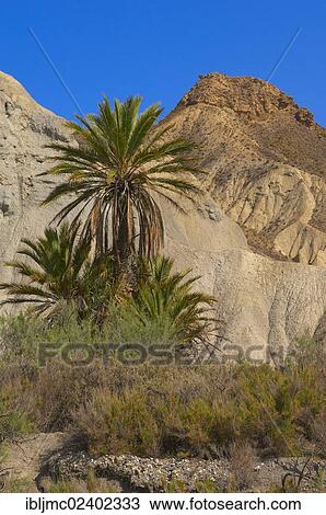Stock Image - "Tabernas Desert Natural Park, Tabernas, Almeria Province, Andalusia, Spain, Europe". Fotosearch