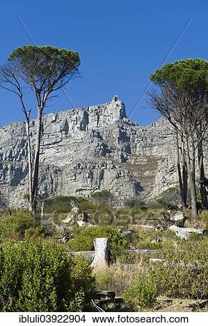 "Table Mountain and Upper Cable Station, Cape Town, Western Cape, South Africa, Africa" View Large Photo Image Picture - "Table Mountain and Upper Cable Station, Cape Town, Western Cape, South Africa, Africa". Fotosearch