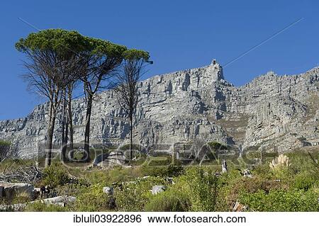 Stock Photograph - "Table Mountain and Upper Cable Station, Cape Town, Western Cape, South Africa, Africa". Fotosearch