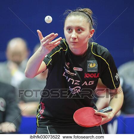 "Table tennis player Sofia Polcanova, Linz AG Froschberg, wins the fifth game in the ETTU semifinals, Multiversum Schwechat, Schwechat, Austria, Europe" View Large Photo Image Stock Image - "Table tennis player Sofia Polcanova, Linz AG Froschberg, wins the fifth game in the ETTU semifinals, Multiversum Schwechat, Schwechat, Austria, Europe". Fotosearch