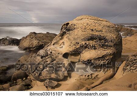 "Tafoni rock formations, Salt Point State Park, Jenner, California, United States, North America" View Large Photo Image Stock Photo - "Tafoni rock formations, Salt Point State Park, Jenner, California, United States, North America". Fotosearch