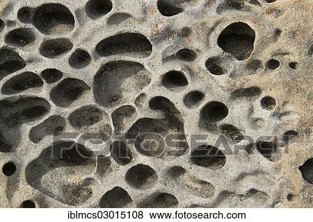 "Tafoni rock formations, Salt Point State Park, Jenner, California, United States, North America" View Large Photo Image Stock Photo - "Tafoni rock formations, Salt Point State Park, Jenner, California, United States, North America". Fotosearch