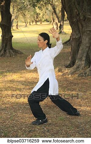 "Tai Chi, demonstration in an olive grove, Regine Zanini, two-time silver medalist of the Tai Chi Championships 2012, Menton, French Riviera, Alpes-Maritimes, Provence-Alpes-Cote d’Azur, France, Europe" View Large Photo Image Stock Photo - "Tai Chi, demonstration in an olive grove, Regine Zanini, two-time silver medalist of the Tai Chi Championships 2012, Menton, French Riviera, Alpes-Maritimes, Provence-Alpes-Cote d’Azur, France, Europe". Fotosearch