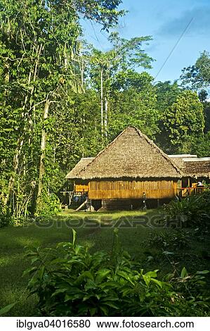 "Tambopata Research Center, Tambopata Nature Reserve, Madre de Dios Region, Peru, South America" View Large Photo Image Stock Image - "Tambopata Research Center, Tambopata Nature Reserve, Madre de Dios Region, Peru, South America". Fotosearch