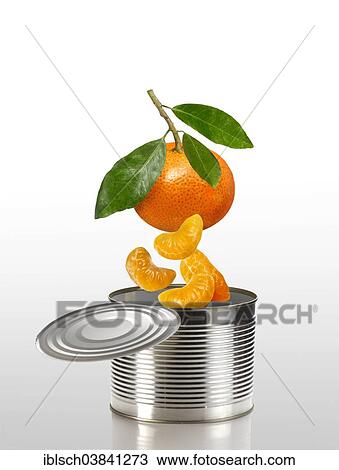 "Tangerine with leaves, single pieces falling into a tin can" View Large Photo Image Stock Image - "Tangerine with leaves, single pieces falling into a tin can". Fotosearch
