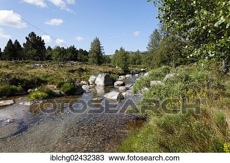 "Tarn river, The Causses and the Cevennes, UNESCO World Heritage, Cevennes National Park, Parc National des Cevennes, UNESCO Biosphere Reserve, Mont Lozere, Pont de Montvert, Lozere, Languedoc-Roussillon, France, Europe" View Large Photo Image Stock Image - "Tarn river, The Causses and the Cevennes, UNESCO World Heritage, Cevennes National Park, Parc National des Cevennes, UNESCO Biosphere Reserve, Mont Lozere, Pont de Montvert, Lozere, Languedoc-Roussillon, France, Europe". Fotosearch