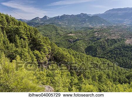 "Taurus Mountains, Koprulu Canyon National Park, reforestation with pine trees after forest fire, Antalya, Turkey, Asia" View Large Photo Image Stock Photo - "Taurus Mountains, Koprulu Canyon National Park, reforestation with pine trees after forest fire, Antalya, Turkey, Asia". Fotosearch