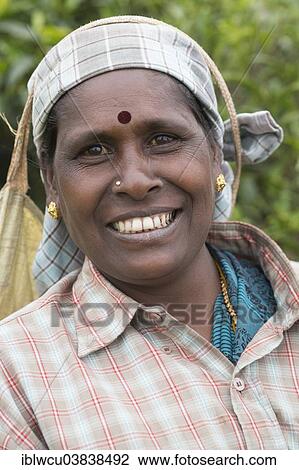 "Tea picker wearing gold jewelry and a hat, portrait, Coonoor, Nilgiri mountains, Tamil Nadu, India, Asia" View Large Photo Image Stock Image - "Tea picker wearing gold jewelry and a hat, portrait, Coonoor, Nilgiri mountains, Tamil Nadu, India, Asia". Fotosearch