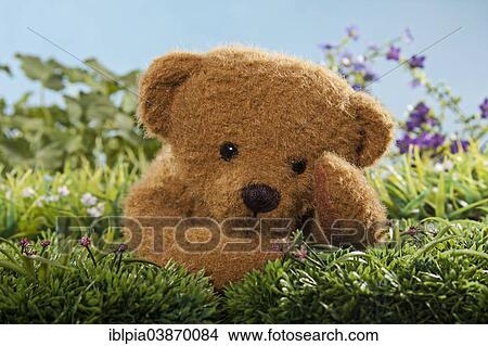 Teddy bear lying in the grass View Large Photo Image Picture - Teddy bear lying in the grass. Fotosearch