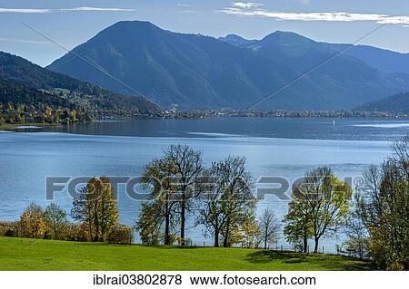 "Tegernsee lake with Wallenberg mountain, Upper Bavaria, Bavaria, Germany, Europe" View Large Photo Image Stock Photo - "Tegernsee lake with Wallenberg mountain, Upper Bavaria, Bavaria, Germany, Europe". Fotosearch