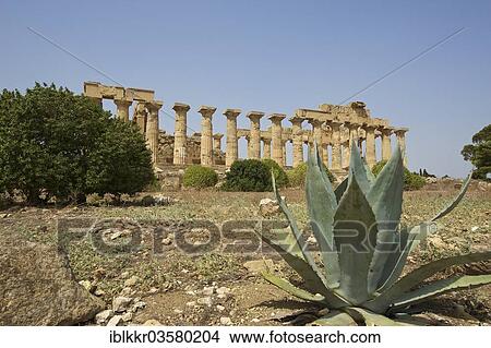 Picture - "Temple E, Temple of Hera, Selinunt, Trabant, Sizilien, Italy, Europe". Fotosearch