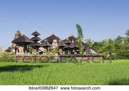 "Temple in the rice field, Ubud, Bali, Indonesia, Asia" View Large Photo Image Stock Photo - "Temple in the rice field, Ubud, Bali, Indonesia, Asia". Fotosearch