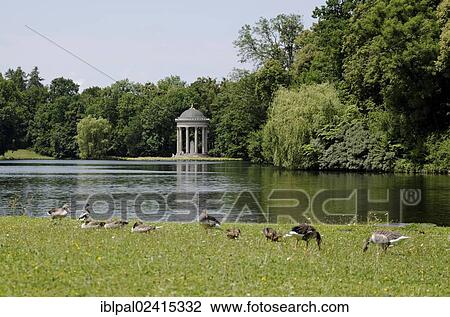 Temple of Apollo, Badenburger Lake, park of Nymphenburg Palace, Munich, Bavaria, Germany, Europe View Large Photo Image Stock Image - Temple of Apollo, Badenburger Lake, park of Nymphenburg Palace, Munich, Bavaria, Germany, Europe. Fotosearch