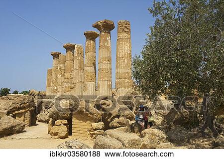 "Temple of Giunone or Temple of Hera, Archaeological Area of Agrigento, Temple Valley, Valle dei Templi, Agrigento, Province of Agrigento, Sicily, Italy, Europe" View Large Photo Image Stock Photo - "Temple of Giunone or Temple of Hera, Archaeological Area of Agrigento, Temple Valley, Valle dei Templi, Agrigento, Province of Agrigento, Sicily, Italy, Europe". Fotosearch