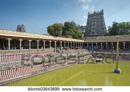 "Temple pond, Gopuram or Gopura temple gate, temple district, Meenakshi Amman Temple or Sri Meenakshi Sundareswarar Temple, Madurai, Tamil Nadu, India, Asia" View Large Photo Image Stock Photo - "Temple pond, Gopuram or Gopura temple gate, temple district, Meenakshi Amman Temple or Sri Meenakshi Sundareswarar Temple, Madurai, Tamil Nadu, India, Asia". Fotosearch