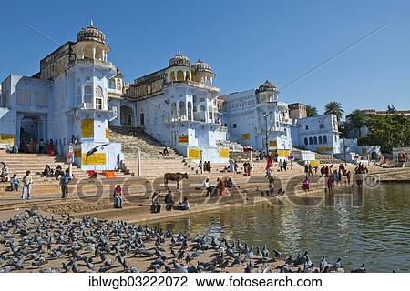 Stock Image - "Temples, buildings and ghats at the holy Pushkar Lake, Pushkar Sarovara, Hindu pilgrimage site, pilgrims at the bathing ghats, pigeons at front, Pushkar, Rajasthan, India, Asia". Fotosearch