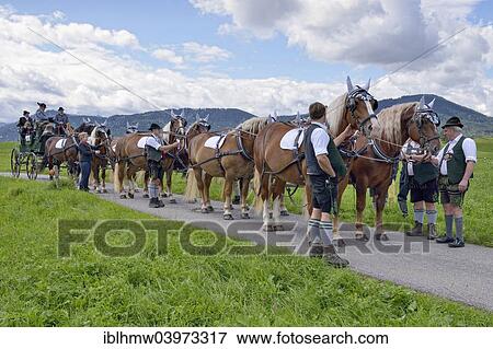"Ten-horse carriage with cold-blooded horses from Leitzachtal Valley, first international ten-horse carriage meeting, Hundham, Leitzachtal Valley, Upper Bavaria, Bavaria, Germany, Europe" View Large Photo Image Stock Photo - "Ten-horse carriage with cold-blooded horses from Leitzachtal Valley, first international ten-horse carriage meeting, Hundham, Leitzachtal Valley, Upper Bavaria, Bavaria, Germany, Europe". Fotosearch