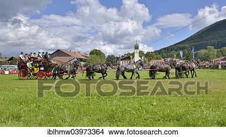 "Ten-horse carriage with Noric horses from Abtenau in Salzburger Land, in front of Leonhardi Chapel, first international ten-horse carriage meeting, Hundham, Leitzachtal Valley, Upper Bavaria, Bavaria, Germany, Europe" View Large Photo Image Picture - "Ten-horse carriage with Noric horses from Abtenau in Salzburger Land, in front of Leonhardi Chapel, first international ten-horse carriage meeting, Hundham, Leitzachtal Valley, Upper Bavaria, Bavaria, Germany, Europe". Fotosearch