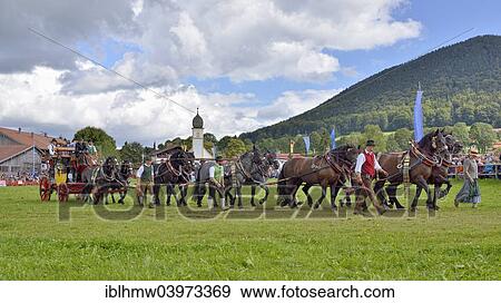 "Ten-horse carriage with Noric horses from Abtenau in Salzburg Land, in front of Leonhardi Chapel, first international ten-horse carriage meeting, Hundham, Leitzachtal Valley, Upper Bavaria, Bavaria, Germany, Europe" View Large Photo Image Stock Photo - "Ten-horse carriage with Noric horses from Abtenau in Salzburg Land, in front of Leonhardi Chapel, first international ten-horse carriage meeting, Hundham, Leitzachtal Valley, Upper Bavaria, Bavaria, Germany, Europe". Fotosearch
