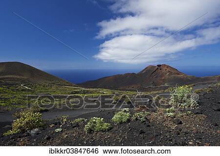 Stock Photograph - "Teneguia volcano, La Palma, Canary Islands, Spain, Europe". Fotosearch