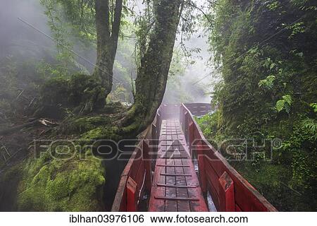 Stock Photograph - "Termas Geometricas, Panguipulli, Region de Los Rios, Chile, South America". Fotosearch