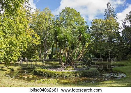 "Terra Nostra Park, Furnas, Sao Miguel, Azores, Portugal, Europe" View Large Photo Image Stock Image - "Terra Nostra Park, Furnas, Sao Miguel, Azores, Portugal, Europe". Fotosearch