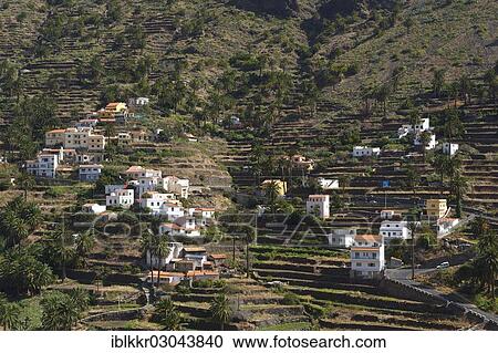 "Terrace cultivation and a small settlement, Valle Gran Rey, La Gomera, Canary Islands, Spain, Europe" View Large Photo Image Stock Image - "Terrace cultivation and a small settlement, Valle Gran Rey, La Gomera, Canary Islands, Spain, Europe". Fotosearch